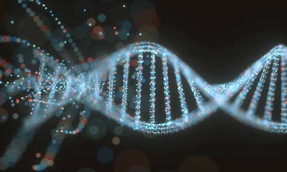 Why the Human Genome Project?